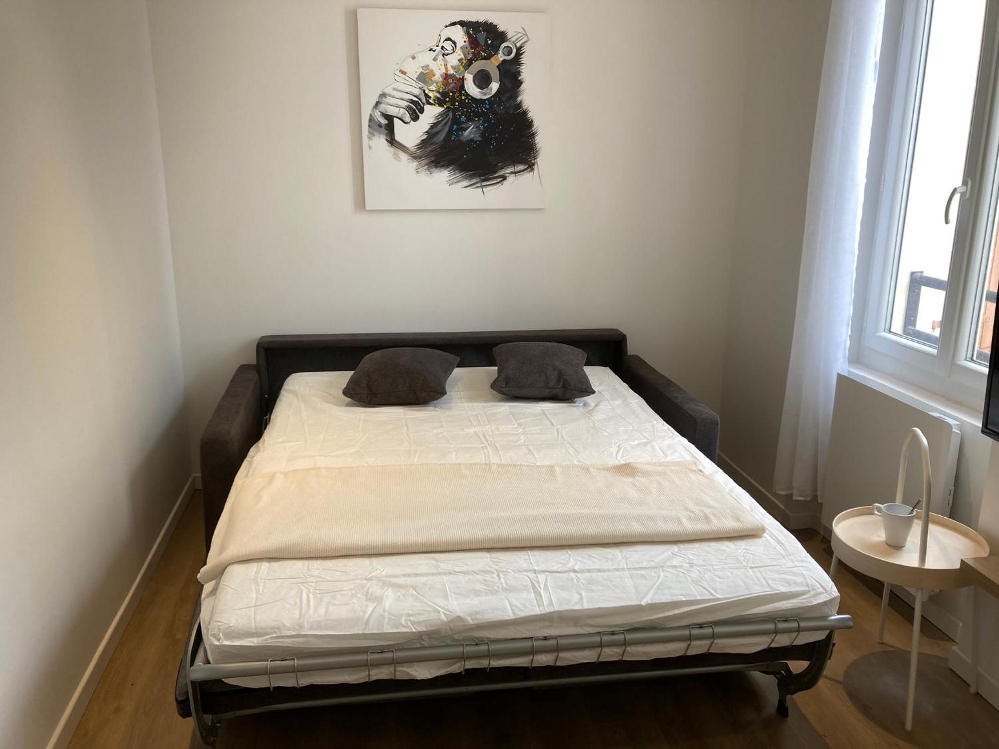 Premium Appart Albi Esterno foto
